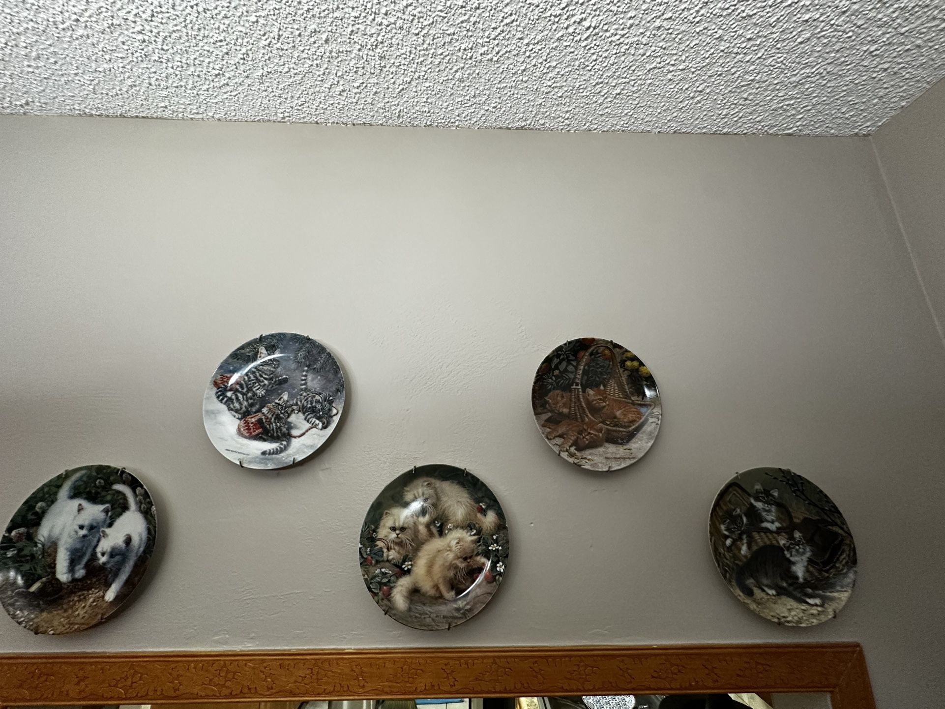 Collection Plates 