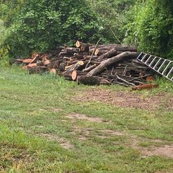 Fire Wood For Sale,also Have White Oak Logs For Sale
