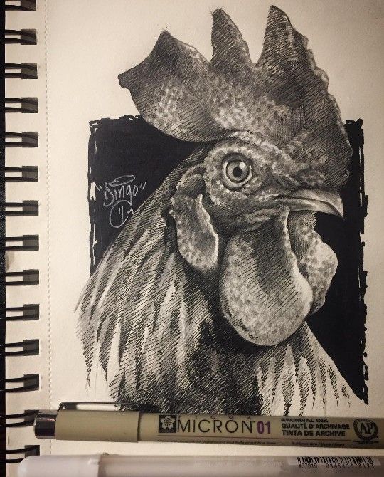 Art by Dingo