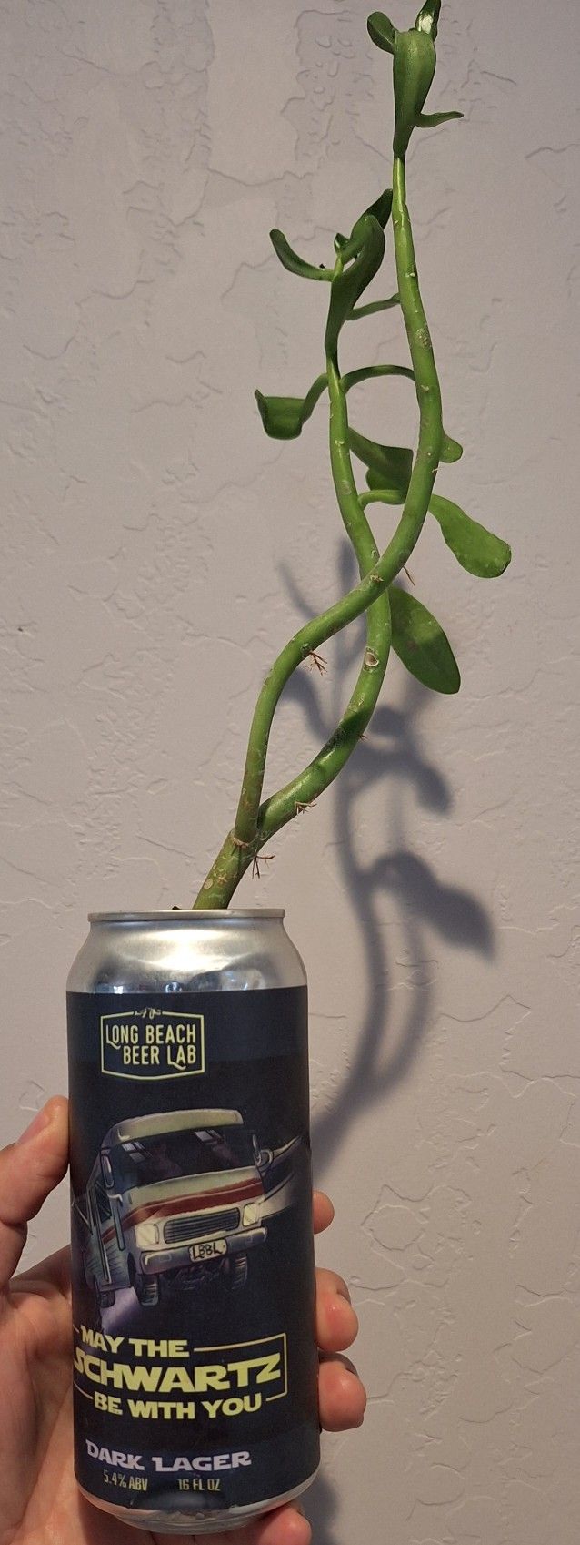 Succulent In A Can