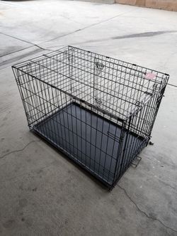 Dog Cage