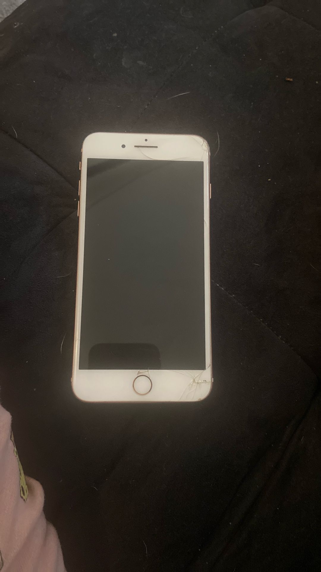 iphone 8 plus