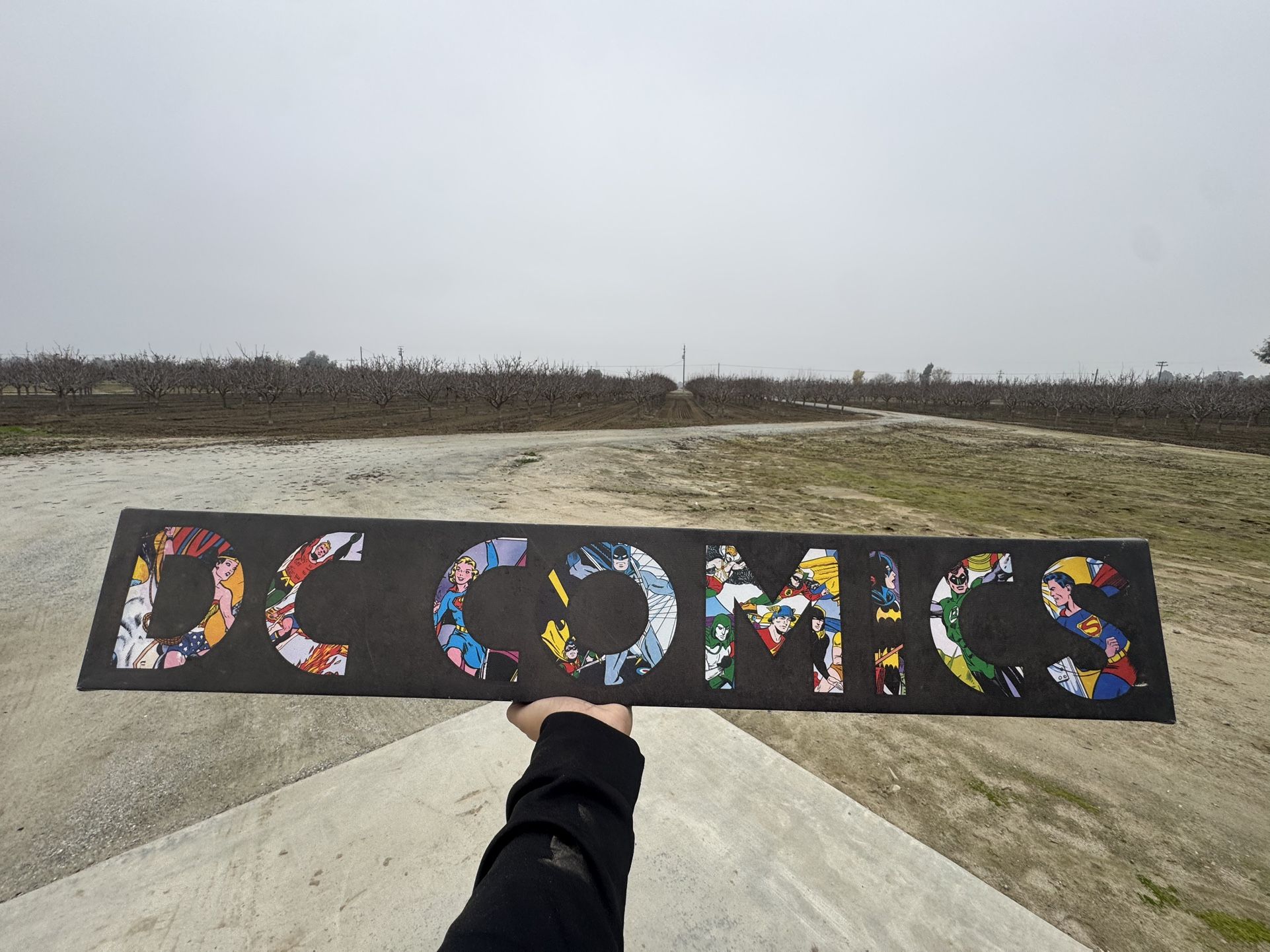 DC & Justice League Boys Bedroom Decor