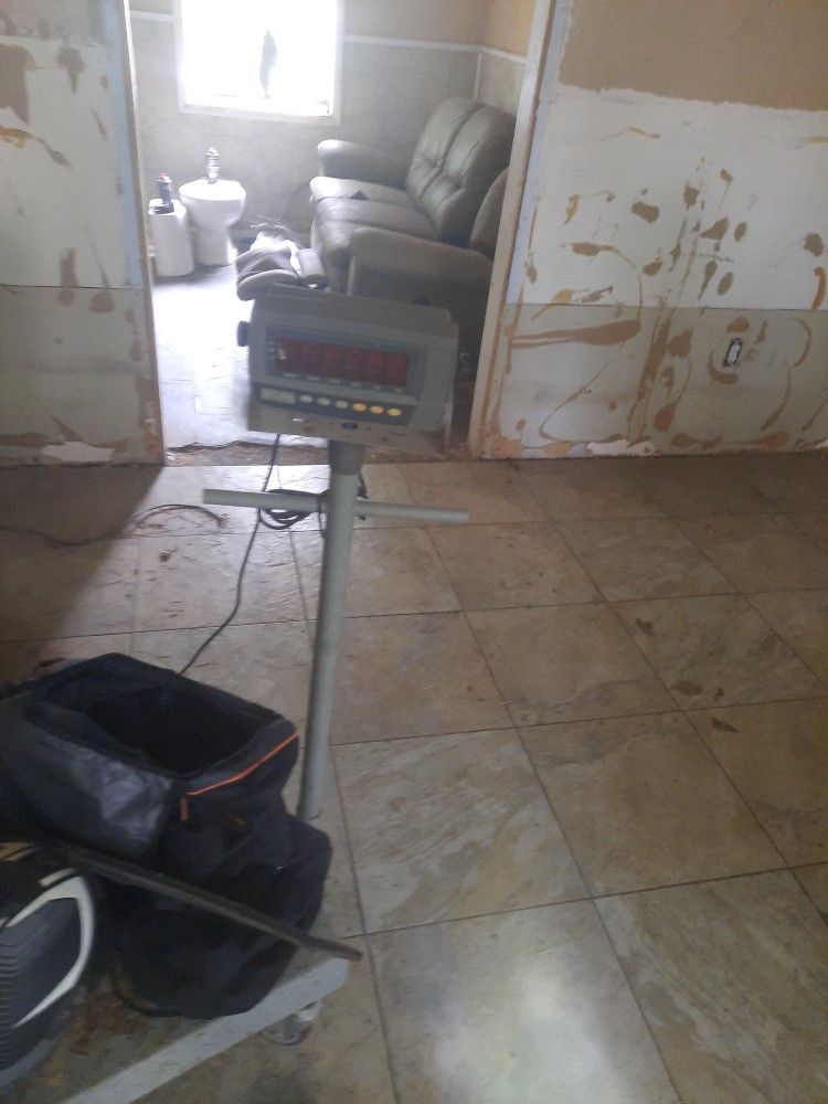 Package Or Dog Scale