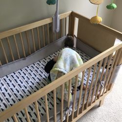 Sparrow Crib
