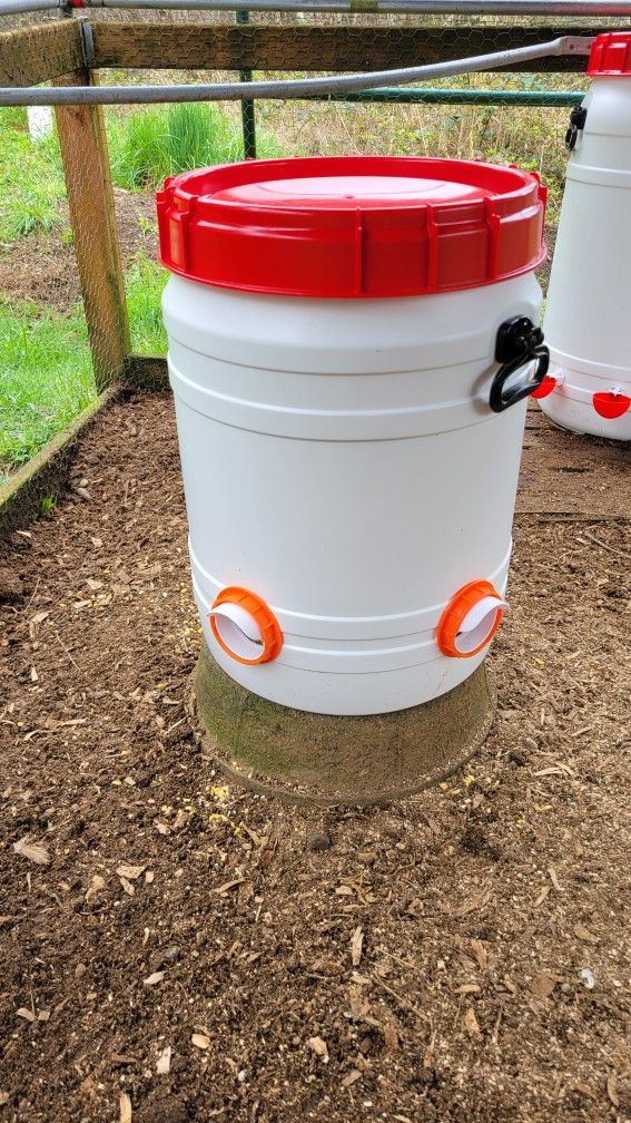 Chicken Feed And Waterers