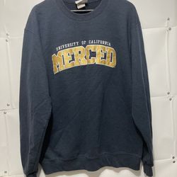 Sweatshirt champion navy Mens size large