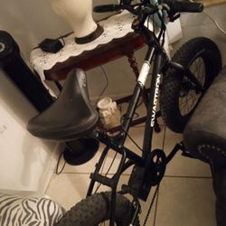 Electric Bike 