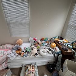 Stuffed Animals, Clothing, Toys, And Books 