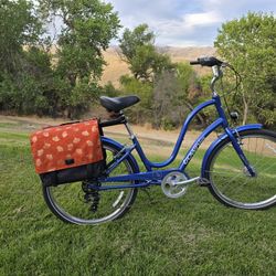 Dutch Double Pannier Saddlebags For Bicycle, $50