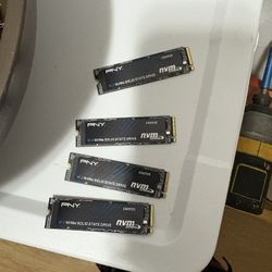 PNY Solid State Drive