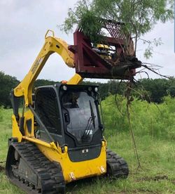 Tree sevices
