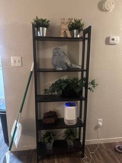 Shelf