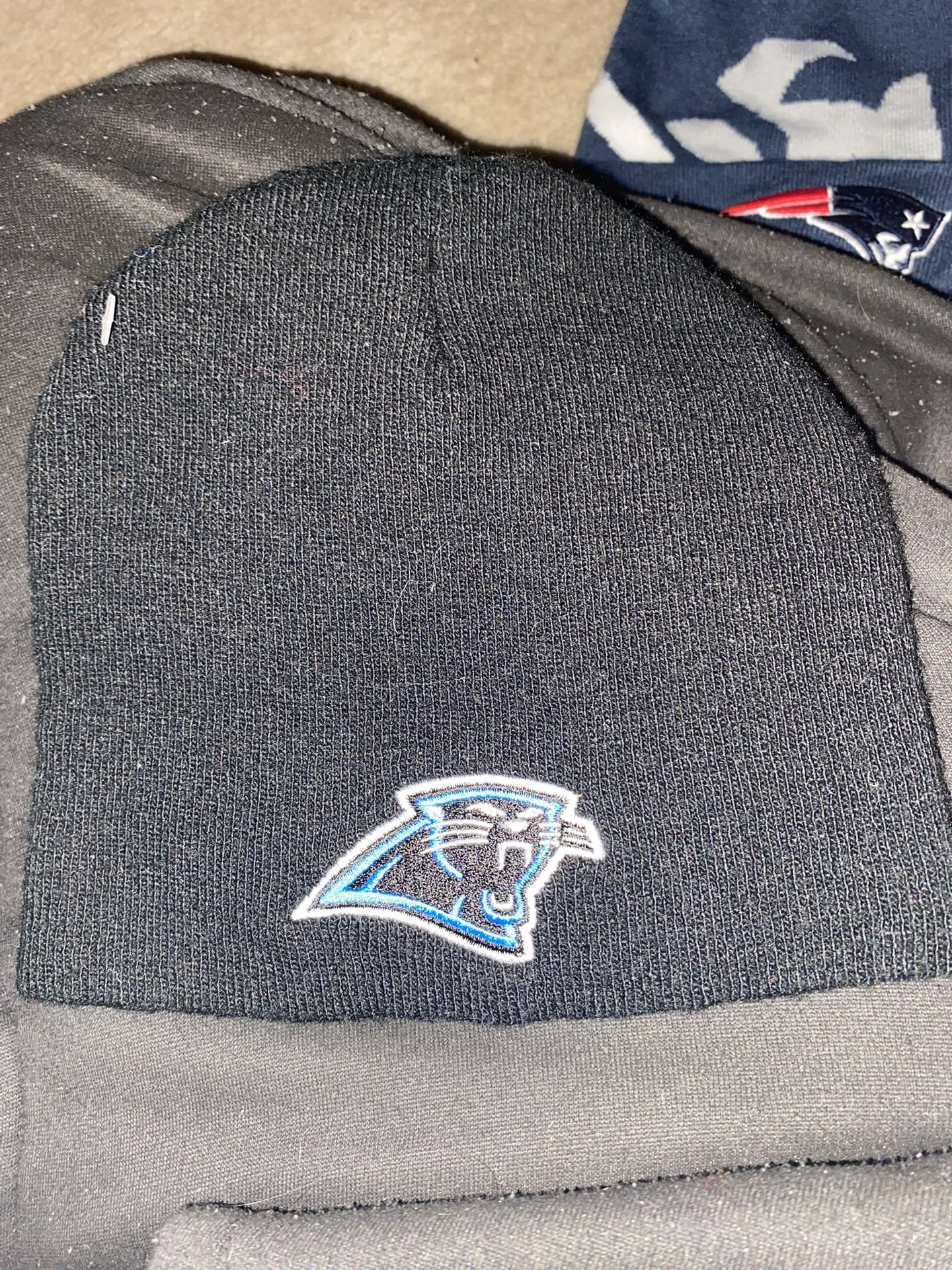 Panthers Winter Hat