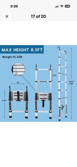 Telescopic Ladder