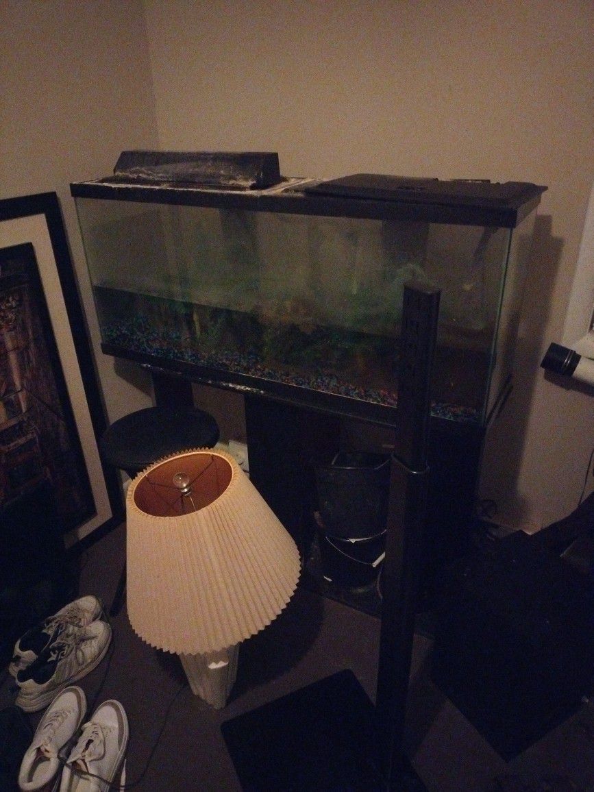 2 Fish Tanks