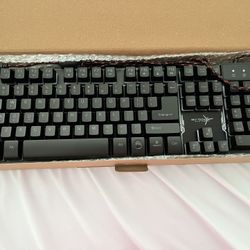 Skytech Gaming Keyboard