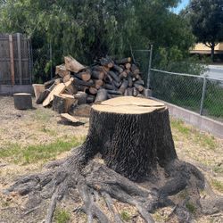 Big Wood Stumps/slabs For Sale