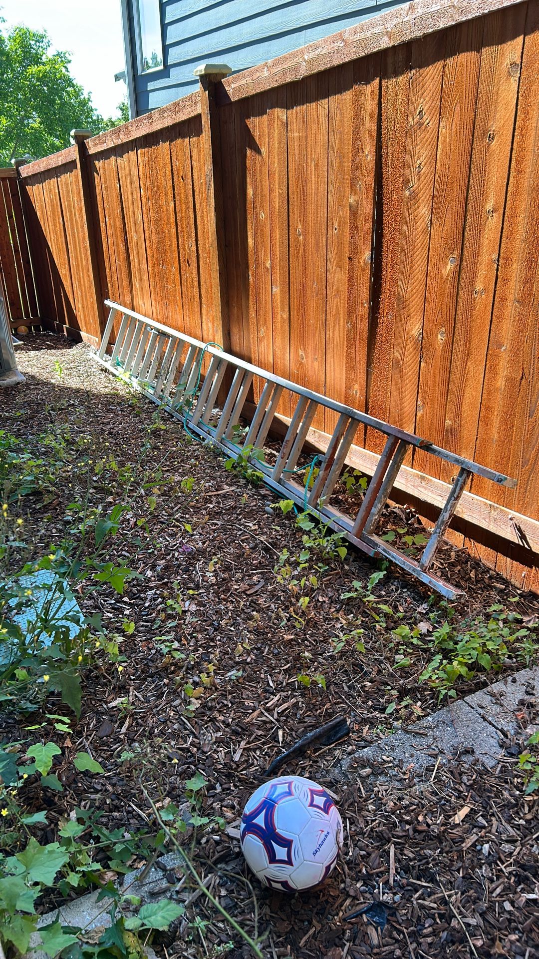 Extra large Ladder