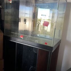 Aquarium 