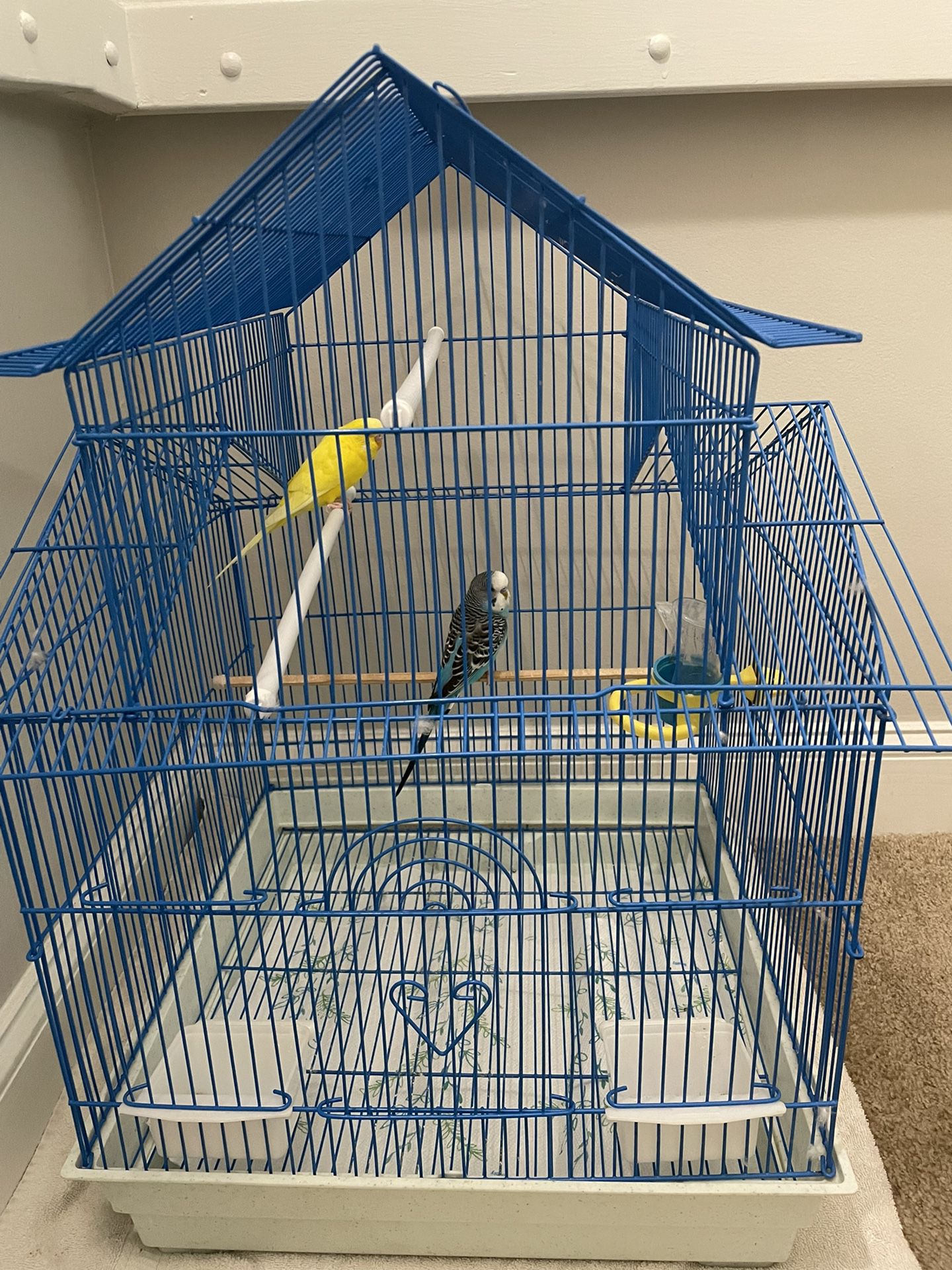 Pereekets, cage, Toys and food