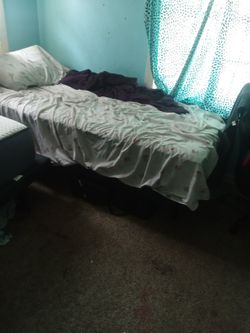 2 Twin Size Electric Beds 