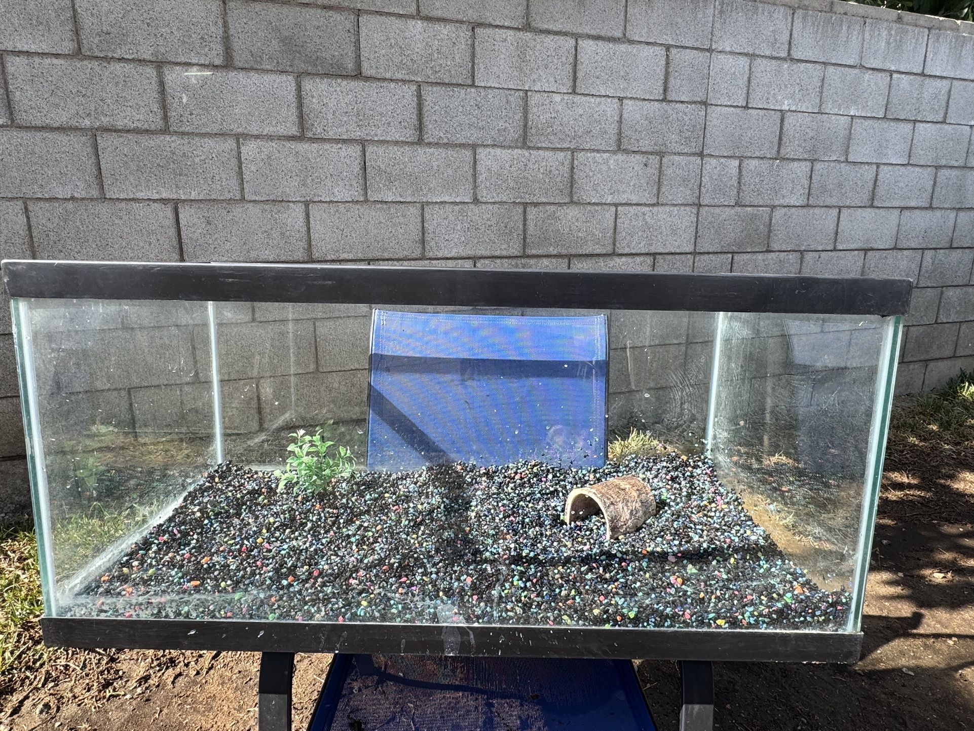 Fish Tank