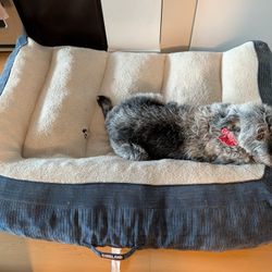Large Navy Blue Kirkland Dog Bed