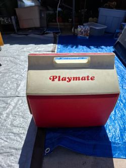 Igloo playmate cooler