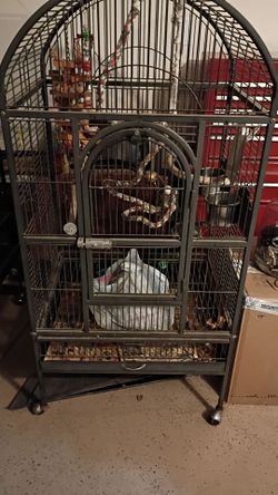 Parrot Cage 🦜