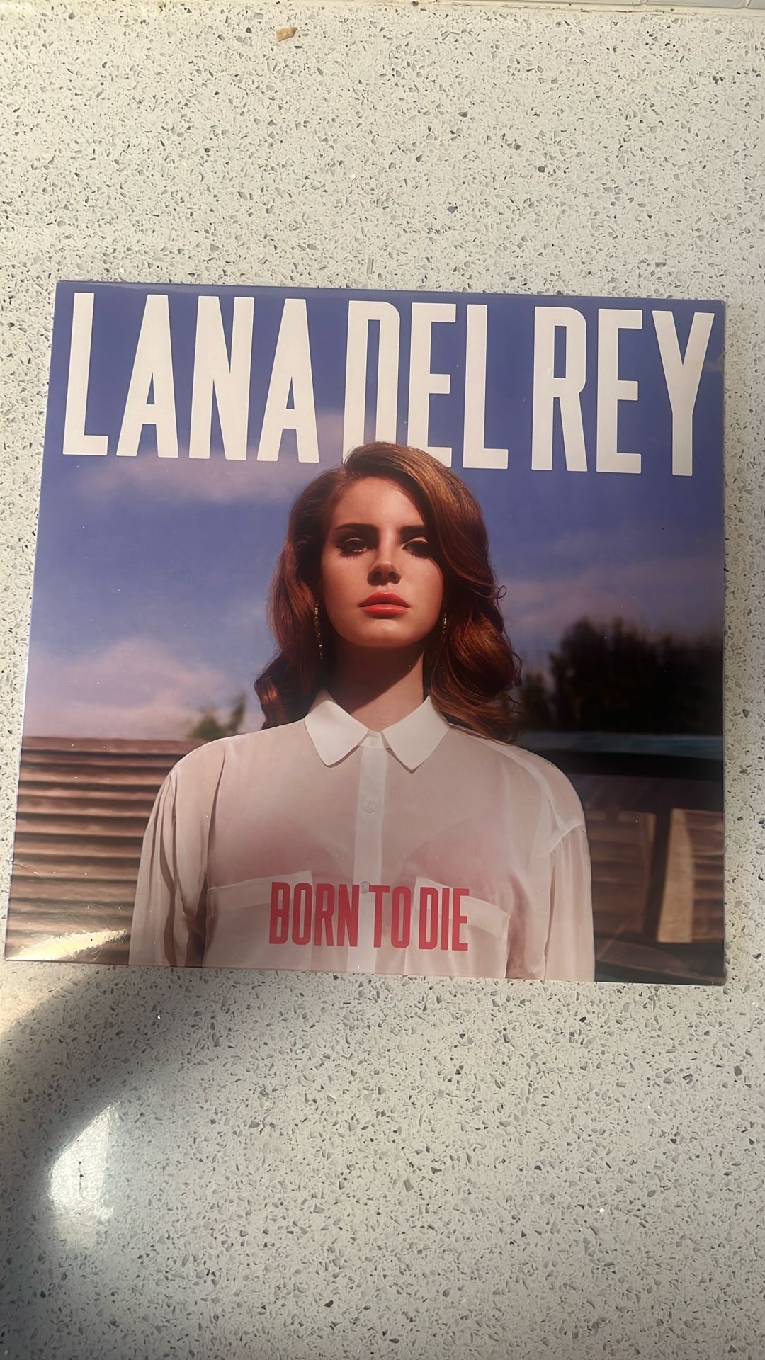 Lana Del Ray Record