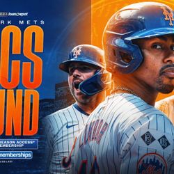 METS/DODGERS GAME 3 CITI FIELD 10/16/24- $350