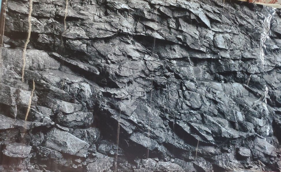 Fish Tank Background 48x30 Perfect X Ciclidos