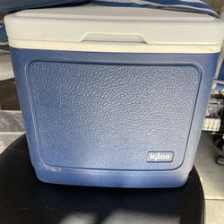 Igloo Cooler 