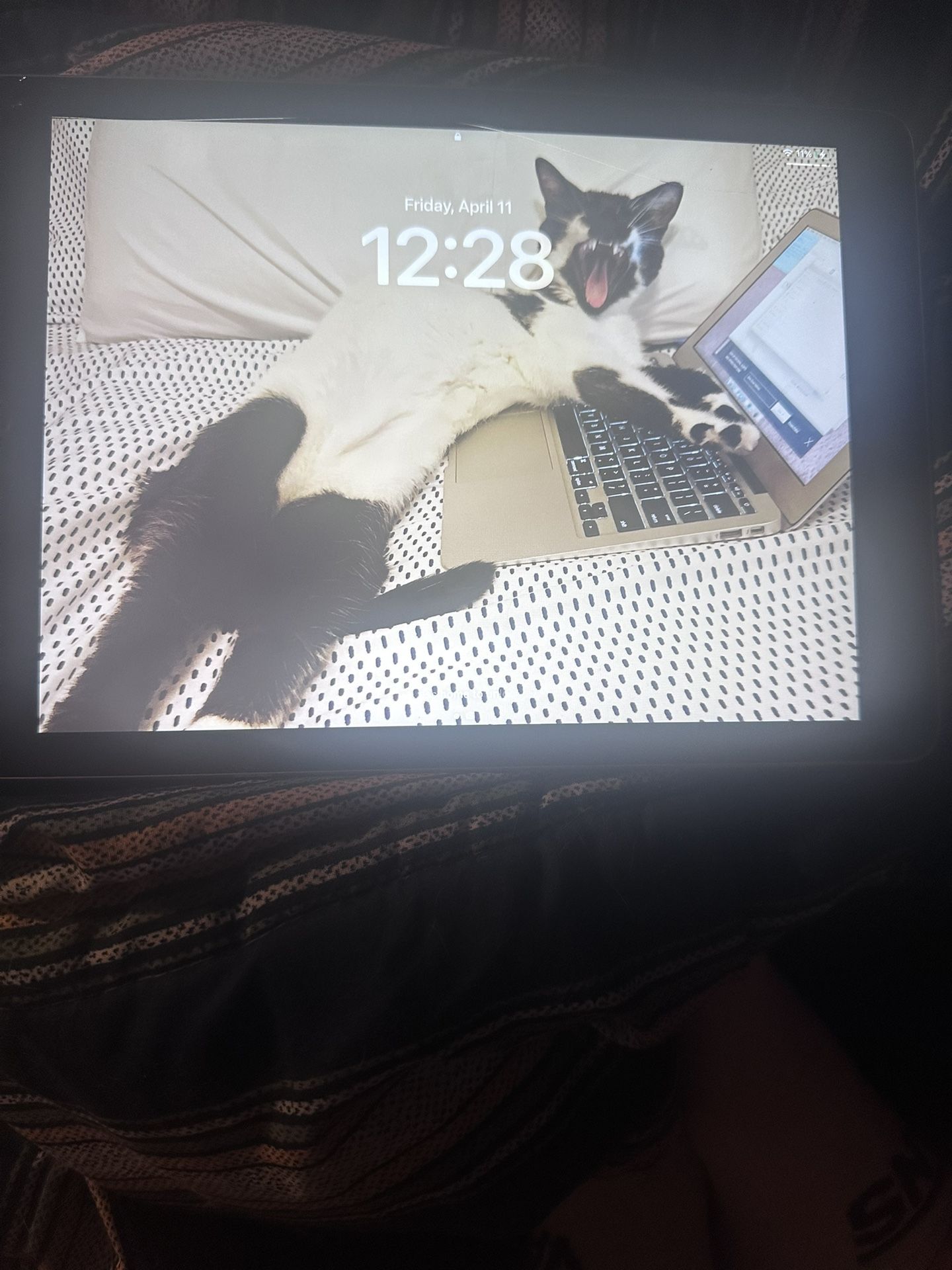 Apple iPad 5th Generation