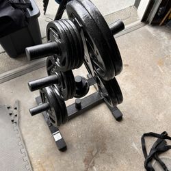 Cap Steel Plates + Tree + Olympic Barbell