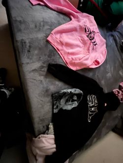 Sdl hoodie got from website