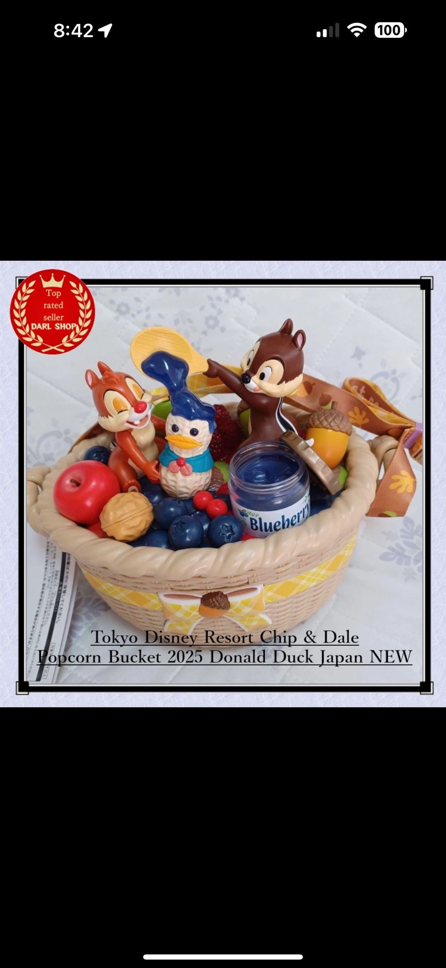 Tokyo Disney Resort Chip & Dale Popcorn Bucket 2025 Peanuts Donald Duck Japan