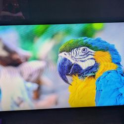 Insignia FireTv  (Smart) with Remote