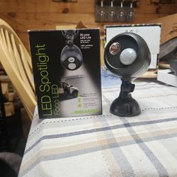 Mr. Beams Motion Sensor Spotlight