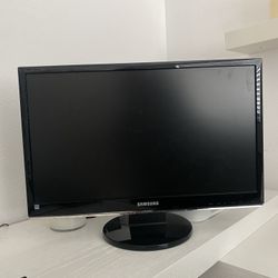 computer monitor 