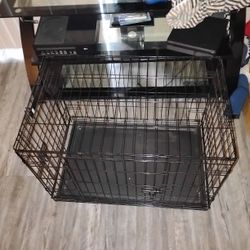 Animal Hotel