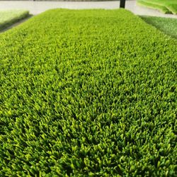 Artificial Turf Grass $3