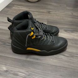 Jordan 12 Taxi