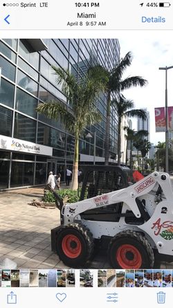 Rent a bobcat in Miami