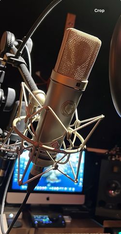 Microphone Neuman TLM 67 (NEW)