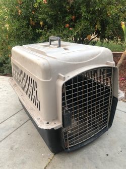 Large Hard-Sided Pet Travel Carrier