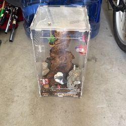 Jumping Spider Enclosure 