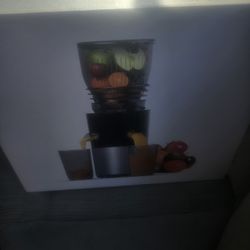 Cold Press Juicer Godspeeds