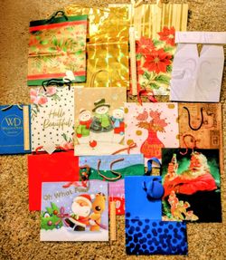 Gift Bags Assorted Larger Size Bags Quantity of 14